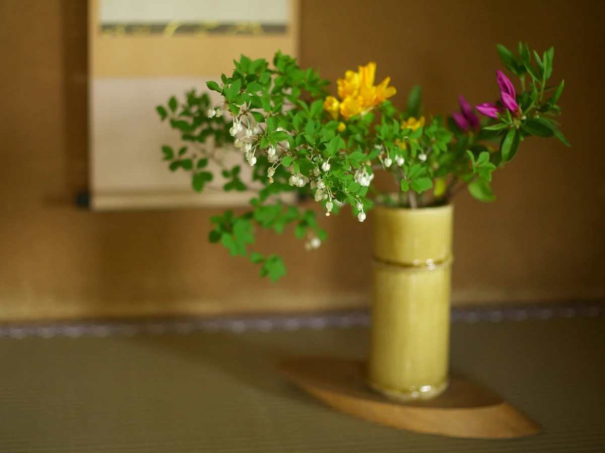 Fresh green plants and herbs arranged on a natural linen surface